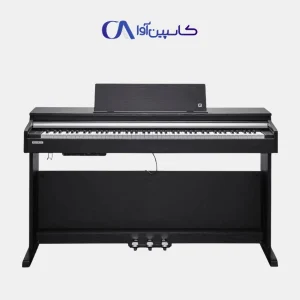 Kurzweil CUP M1 SR