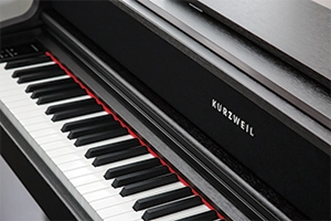 قابلیت پلی فونی 256 نتی Kurzweil CUP410 SR