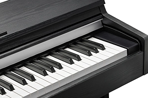کلاویه-H1-Ivory-Kurzweil-CUP-M1-SR